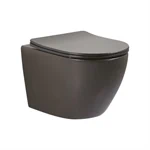 אסלה תלויה מעוצבת - רימלס 10